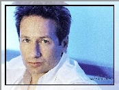 David Duchovny, biała koszula, ciemne włosy