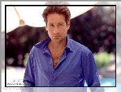 David Duchovny, niebieska koszula