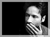 David Duchovny, wąsy, broda