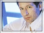 David Duchovny, biała koszula, zielone oczy