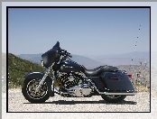 Harley-Davidson Touring Street Glide, Elementy, Chromowane