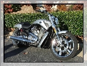 Harley Davidson V-Rod Muscle, Akcesoryjne, Dodatki