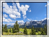 Drzewa, Davos, Szwajcaria, Chmury, Góry Albula-Alpen, Łąki