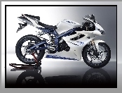 Triumph Daytona 675SE