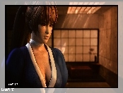 Dead Or Alive 5, Kasumi