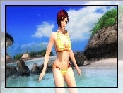 Dead Or Alive 5, Mila