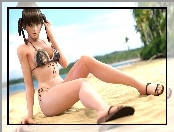 Dead Or Alive 5, Lei Fang
