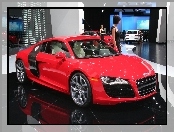 Dealer, Audi R8, Hostessa