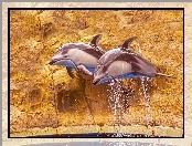 Dwa, Delfiny, Skały