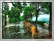 Deszcz, Włochy, Toscolano-Moderno, Ulica, Drzewo