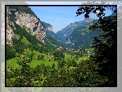 Góry, Dolina, Drzewa