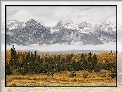 Dolina, Chmury, Góry, Śnieg, Las