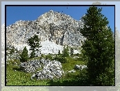 Skały, Dolomit, Drzewa