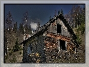 Dom, Wzniesienia, Rudera, Drzewa