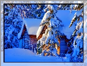 Dom, Drzewa, Zima, Śnieg