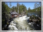 Zalesione, Park Narodowy Oulanka, Finlandia, Domek, Rzeka, Brzegi