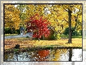 Domek, Staw, Park, Liście, Gęsi, Drzewa