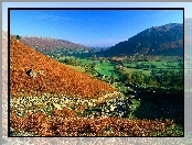 Domki, Cumbria, Anglia, Góry, Kolory