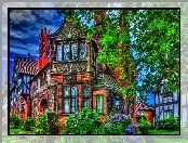 Domy, Krzewy, HDR, Drzewa