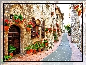 Domy, Włochy, Ulica, Kwiaty