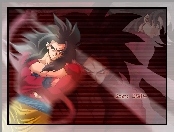 Dragon, Goku SSJ4
, Ball