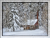 Drewniany, Drzewa, Las, Zima, Śnieg, Dom