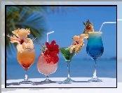 Kolorowe, Drinki, Kwiatki