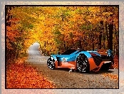 Auto, Droga, Jesień, Koncept, Las, Pagani Thawara Gulf