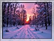 Zachód słońca, Zima, Las, Grafika AI, Drzewa, Droga