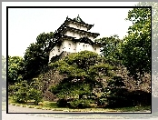 Drzewa, Tokio, Pałac, Cesarski, Fortyfikacje