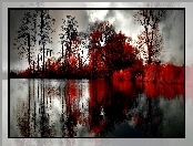 Drzewa, Park, Jezioro, Chmury, Kolorowe