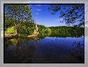 Chorwacja, Drzewa, Park Narodowy Jezior Plitwickich, Jezioro