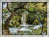 Chorwacja, Drzewa, Park Narodowy Jezior Plitvickich, Wodospad
