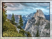 Góry, Stan Kalifornia, Stany Zjednoczone, Drzewa, Park Narodowy Yosemite, Szczyt Half Dome