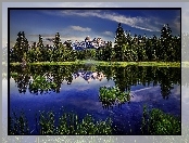 Góry, Drzewa, Jezioro