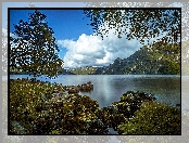 Drzewa, Norwegia, Jezioro, Góry, Kamienie