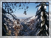 Góry, Drzewa, Śnieg