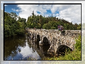 Irlandia, Las, Wieś Beaufort, Drzewa, Hrabstwo Kerry, Rzeka Laune, Most kamienny Beaufort Bridge, Rzeka