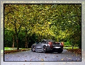 Drzewa, Ferrari, F430, Jesień, Droga