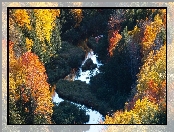 Drzewa, Rzeka, Las, Jesień, Kolorowe