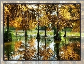 Jesień, Drzewa, Moczary