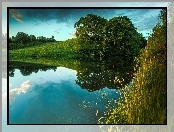 Jezioro, Drzewa, Chmury