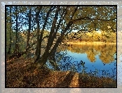 Jezioro, Drzewa, Jesień