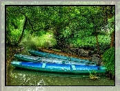 Jezioro, Drzewa, Kajaki