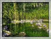 Jezioro, Drzewa, Kamienie