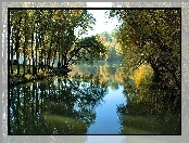 Jezioro, Drzewa, Lato