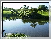 Jezioro, Drzewa, Odbicie