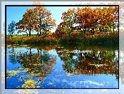 Jezioro, Drzewa, Odbicie