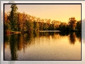 Jezioro, Drzewa, Park