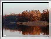 Jezioro, Drzewa, Przedwiośnie